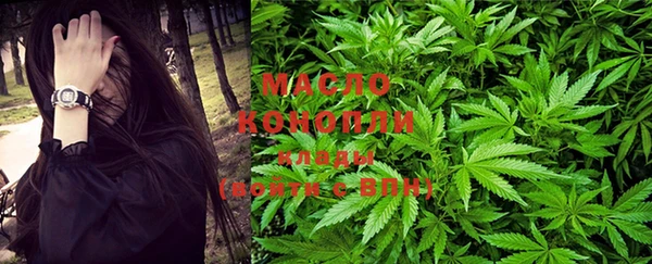 прущие крисы Надым