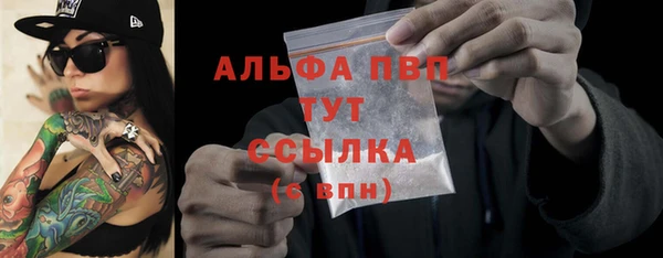 прущие крисы Надым