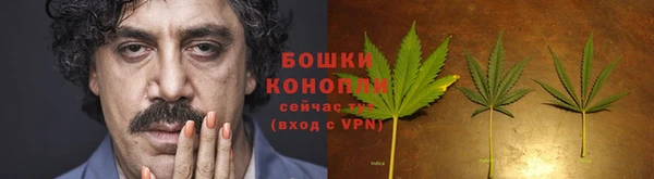 прущие крисы Надым