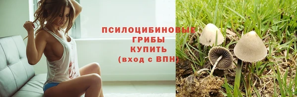 соль ск Навашино