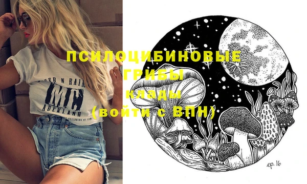 прущие крисы Надым