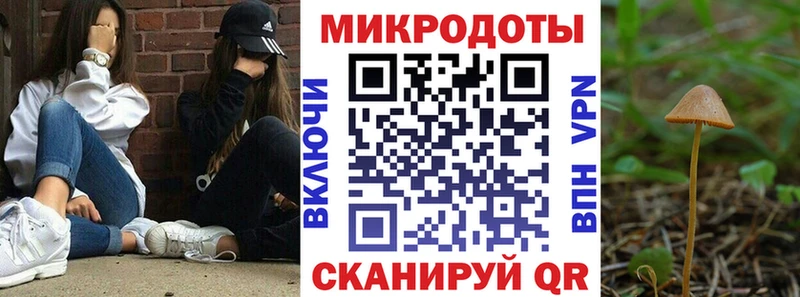 хочу Александровское Псилоцибиновые грибы мицелий